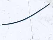 Zierleiste Leiste - Vorne Rechts Ford Fiesta, V 2005.03 - 2008.12 facelift Gebraucht,