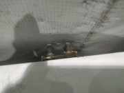 Lang Heckklappe Scharniere Scharnier - Hinten Rechts Toyota Corolla Verso, III facelift 2007 - 2009 Gebraucht,