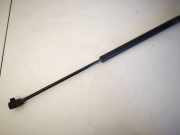 Gasdruckfeder Kofferraum Renault Scenic, II 2003.06 - 2006.06 Gebraucht,