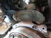 Kühlerschlauch Peugeot Expert, 2007.01 --> Gebraucht,