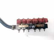Einspritzleiste Gasanlage Rover 75, 1999.02 - 2005.05 67r010404,110r000040