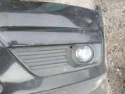 Kühlergrill - Vorne Linke Ford Focus, 2004.11 - 2008.06 Gebraucht,