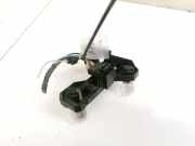 Lampenträger Heckleuchte - Hinten Renault Scenic, I 1996.01 - 1999.09 Gebraucht,
