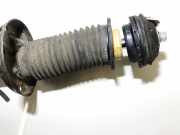 Stoßdämpfer - Vorne Rechts Fiat Punto, 2005.10 - 2012.03 51796545,