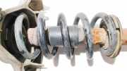 Fahrwerksfeder vorne Audi A6, C6 2005.01 - 2008.10 Gebraucht,