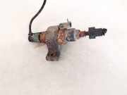 Kraftstoffpumpe Zusatzpumpe Standheizung Citroen C3 Picasso, I 2009.02 - 2012.06 Gebraucht,