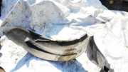 Radhausschale - Hinten Linke Dodge Caliber, 2006.08 - 2009.01 Gebraucht ,