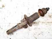 Stoßdämpfer - Vorne Rechts Skoda Fabia, II 5J 2007.01 - 2010.06 383330egt,