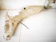 Scheibenwaschbehälter Vorne Wischwasserbehälter Ford Focus, 1998.10 - 2002.10 xs4117618ch, xs41-17618-ch