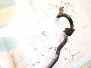 Stabilisator Vorne Opel Zafira, A 1999.04 - 2003.11 Gebraucht,