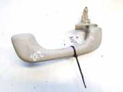 Haltegriff Haltegriff Verdeckgriff - Hinten Rechts Renault Scenic, II 2003.06 - 2006.06 Gebraucht ,