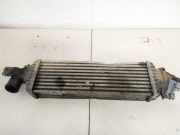 Ladeluftkühler Nissan Primera, P12 2002.01 - 2008.12 Gebraucht,