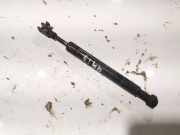 Gasdruckfeder Kofferraum Jaguar X-Type, 2001.06 - 2007.11 4x43n42104ac,4x43-n42104-ac