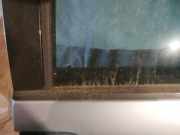 Zierleiste Leiste - Hinten Linke Fiat Ulysse, II 2002.06 - 2014.12 Gebraucht,