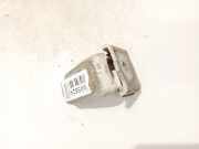 Türscharnier Hinten Renault Scenic, III 2009.02 - 2013.06 Gebraucht,