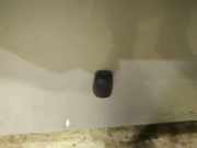 Waschwasserd?se Scheibenreinigung Toyota Avensis Verso, 2001.08 - 2009.11 Gebraucht,