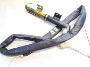 Kopfairbag - Vorne Rechts Renault Scenic, II 2006.06 - 2009.02 facelift 8200432642b, d6020012