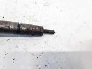 Einspritzdüse Peugeot Partner, II 2009.06 - 2015.06 0445110340,