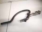 Lang Heckklappe Scharniere Scharnier - Hinten Rechts Lexus IS, II 2005.10 - 2013.03 Gebraucht,