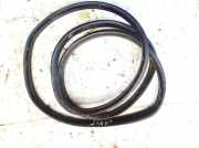 Türdichtung - Vorne Rechts Renault Zoe I 2012 - 2020.06 Gebraucht,