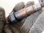 Lambdasonde -4 Drähte WEISS WEISS SCHWARZ GRAU Audi A6, C5 2001.08 - 2005.01 facelift 058906265,