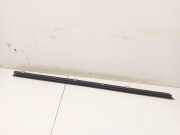 Zierleiste Leiste - Vorne Linke BMW X6, E71E72 2008.01 - 2014.06 Gebraucht,