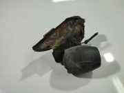 Alarmanlage Opel Astra, H 2004.03 - 2009.12 SE1220, SE1220