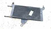Kraftstoffkühler Kraftstoff Kühler Citroen DS3, I 2009.01 - 2016.06 964769408A,