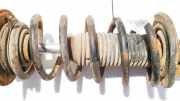 Fahrwerksfeder vorne Chevrolet Captiva, 2006.01 - 2011.06 Gebraucht,