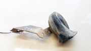 Hupe Renault Kangoo, 1997.09 - 2003.04 E20091001,