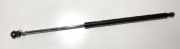 Gasdruckfeder Kofferraum Lexus IS, II 2005.10 - 2013.03 Gebraucht ,