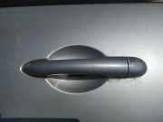 Türgriff Türaussengriff - Hinten Linke Renault Scenic, II 2003.06 - 2006.06 Gebraucht,