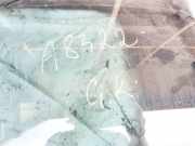 Seitenfenster Seitenscheibe - Mazda 5, CR 2005.02 - 2010.09 nsgm31q8, 43r-005844