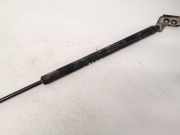 Gasdruckfeder Kofferraum Hyundai Coupe, 2001.08 - 2009.08 817712c013, 81771-2c013