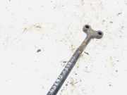 Stabilisator Stabi Hinten Hinterachse Citroen C5, I 2001.03 - 2008.02 Gebraucht ,