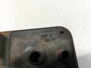 Aktivkohlefilter Chrysler Voyager, III 1995.09 - 2001.03 11006D,