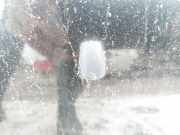 Waschwasserd?se Scheibenreinigung Toyota Yaris Verso, 1999.11 - 2005.09 Gebraucht,