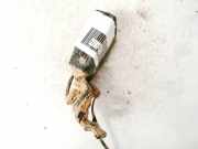 Gurtschloss - Hinten CENTER Audi Q3, 2011.06 --> Gebraucht,