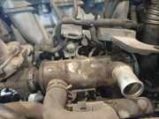 Abgaskühler AGR-Kühler Citroen C4, I 2004.11 - 2008.06 9646762280,9646762280