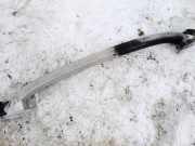 Stoßstangenträger hinten Renault Scenic, II 2003.06 - 2006.06 8200010163,