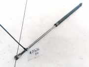 Gasfeder für Motorhaube Audi A3, 8L 1996.09 - 2000.10 Gebraucht,