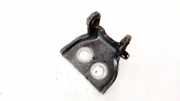 Türscharnier Vorne Citroen C4 Grand Picasso, I 2006.01 - 2013.06 Gebraucht,