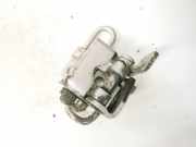 Türscharnier Hinten Volkswagen Golf, V 2003.10 - 2008.10 Gebraucht, CAX