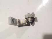 Türscharnier Hinten Volkswagen Golf, IV 1997.08 - 2003.10 Gebraucht, AGU