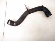 Kühlerschlauch Peugeot 807, 2002.06 - 2012.05 Gebraucht,