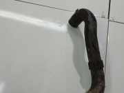 Kühlerschlauch Volkswagen Passat, B6 2005.08 - 2010.11 Gebraucht, BMP