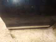 Zierleiste Tür Zier-Schutzleiste - Hinten Linke Citroen C5, II 2008.02 - 2011.01 Gebraucht,