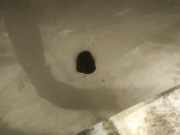 Waschwasserdüse Scheibenreinigung Suzuki Swift, 2005.02 - 2010.10 Gebraucht,