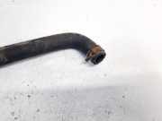 Kühlerschlauch Nissan Almera Tino 2003.09 - 2006.12 facelift Gebraucht,