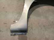 Kotflügel - Vorne Rechts Renault Espace, IV 2002.11 - 2014.12 Gebraucht ,